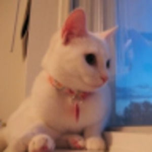 Meet your Posher, Jinny